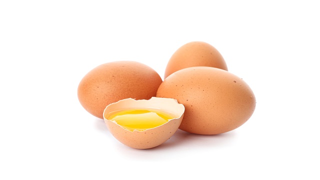 ฮอร์โมนไข่ ของที่ต้องมีสำหรับการทำเกษตรอินทรีย์